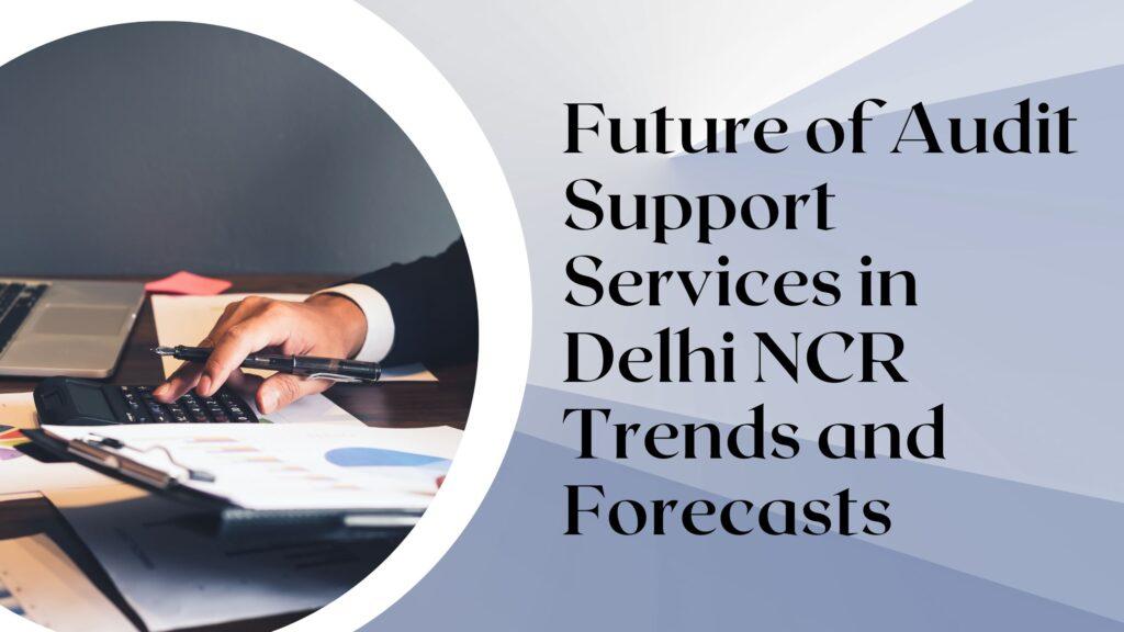 Professional audit support services in Delhi NCR