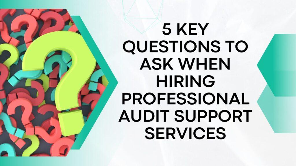 Professional audit support services in Delhi NCR